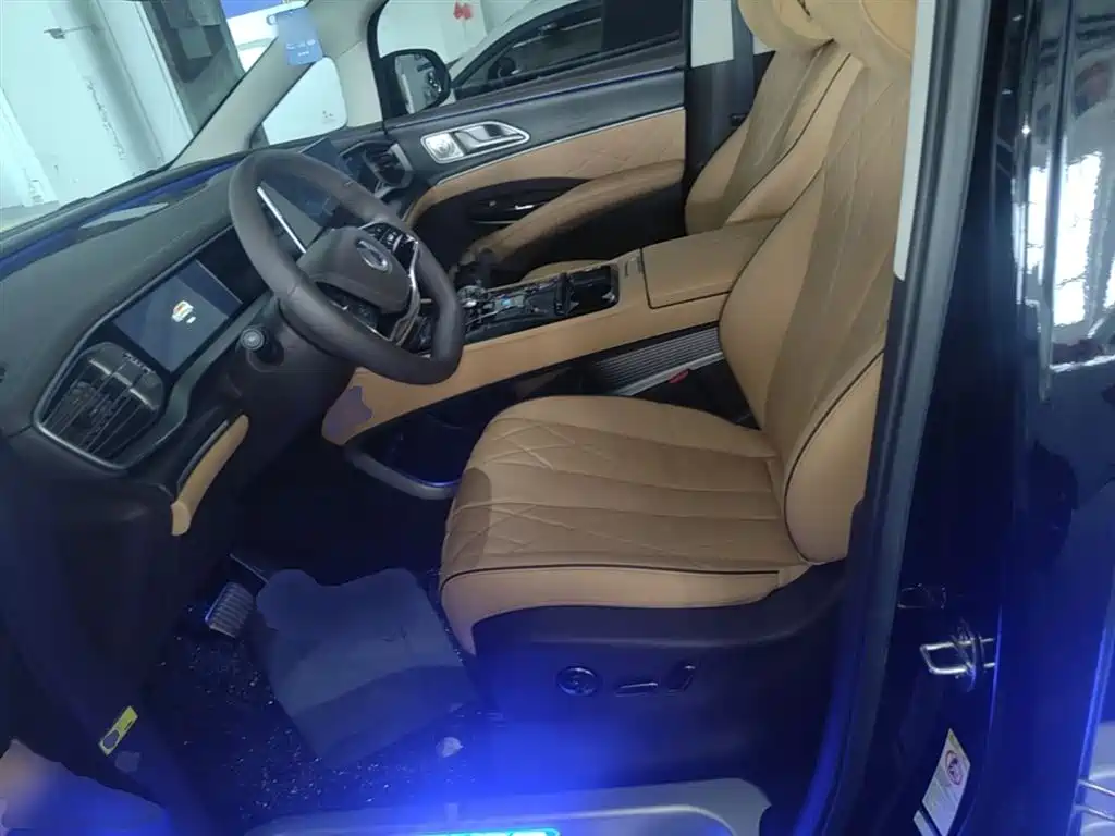 Denza D9 2024 DM-i 980 AWD Prestige фото 15