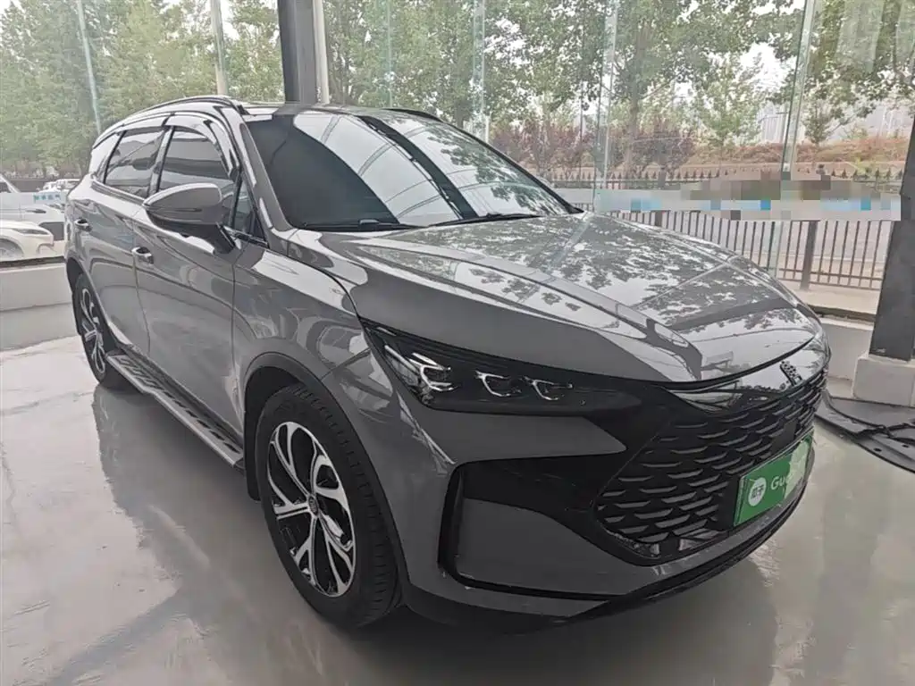 BYD Tang New Energy 2025 DM-i 115KM Premium фото 4