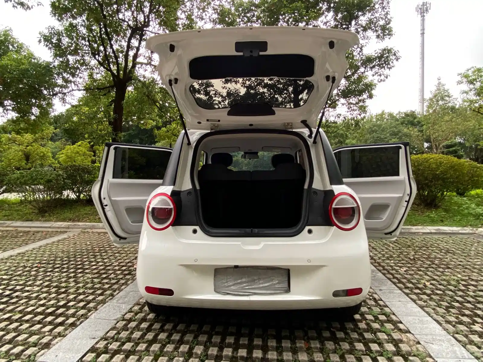 Photo 20 - Changan Lumin