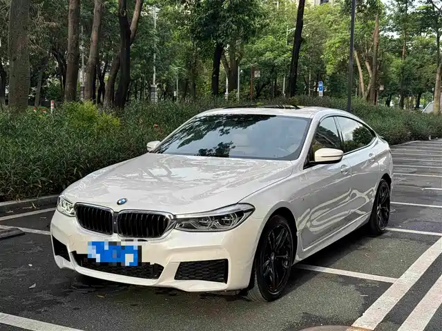 BMW 6 Series GT 2019