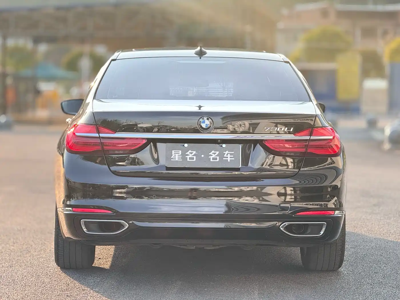 BMW 7 Series 2017 730Li Luxury Edition фото 8