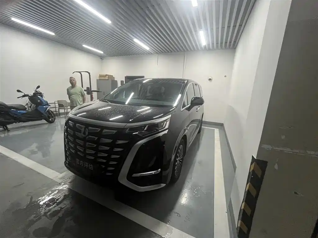 Denza D9 2022 DM-i 970 AWD Flagship фото 4