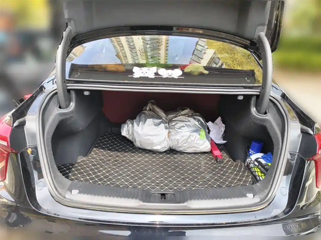Hongqi H5 2024 2.0T Automatic Smart Connect Flag Smooth Edition фото 10
