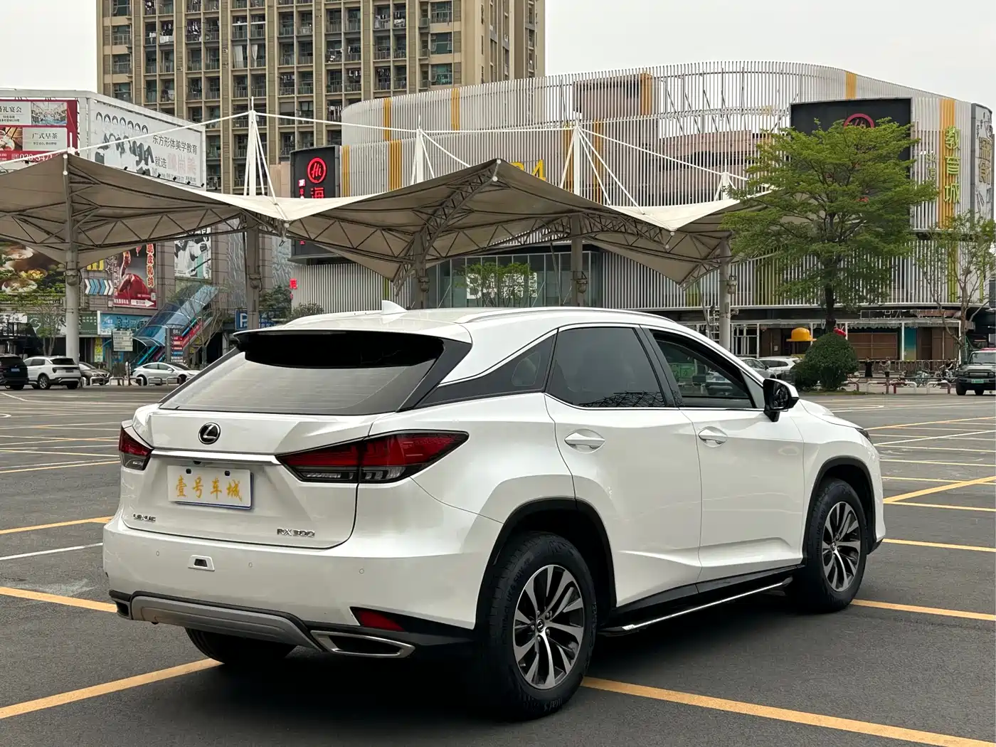 Lexus RX 2020 Facelift 300 2WD Comfort Edition фото 6