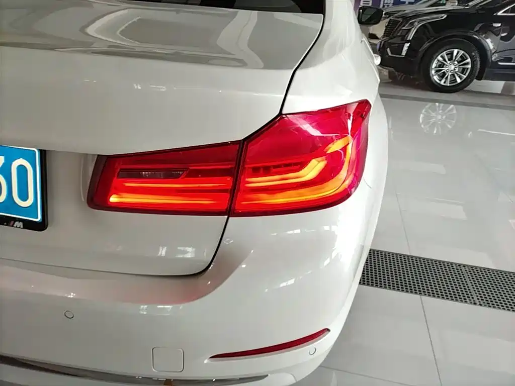 BMW 5 Series 2020 525Li Luxury Package фото 8