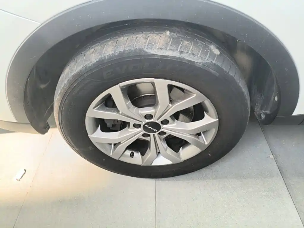 Фото 23 - Haval H6