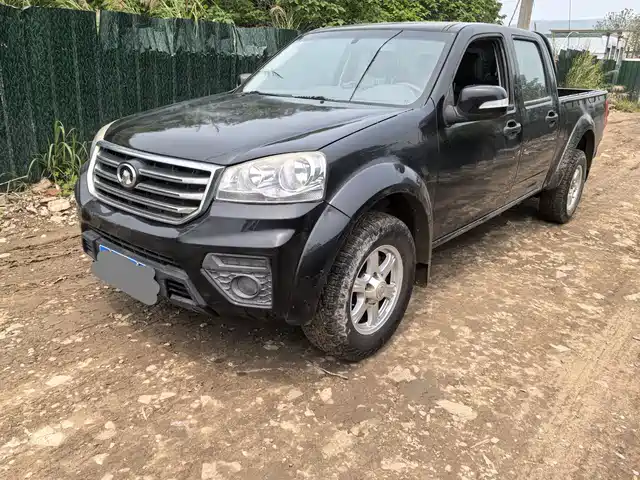 great-wall fengjun-5