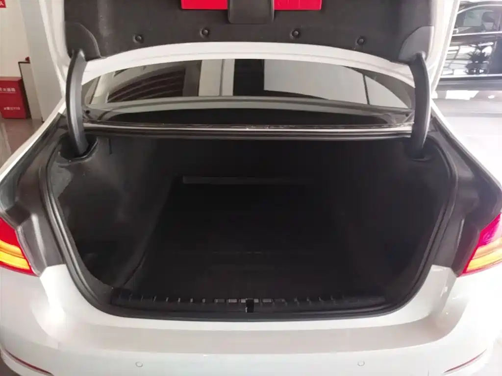 BMW 5 Series 2020 525Li Luxury Package фото 19