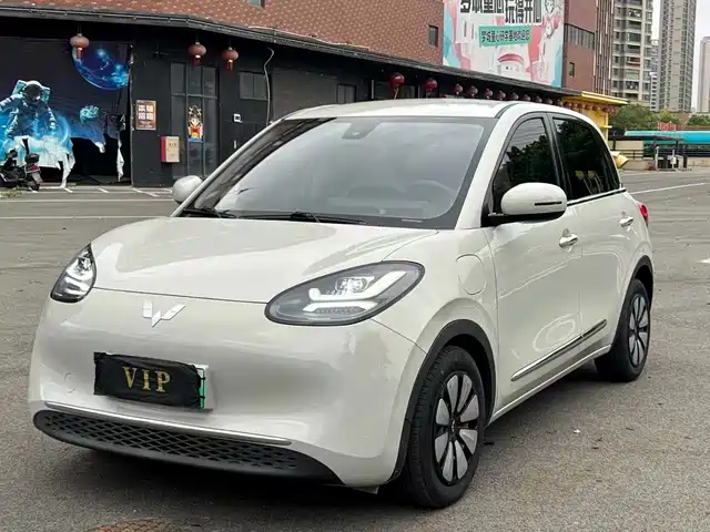 Wuling Motors Wuling Bingo 2023 333km Joyful Version