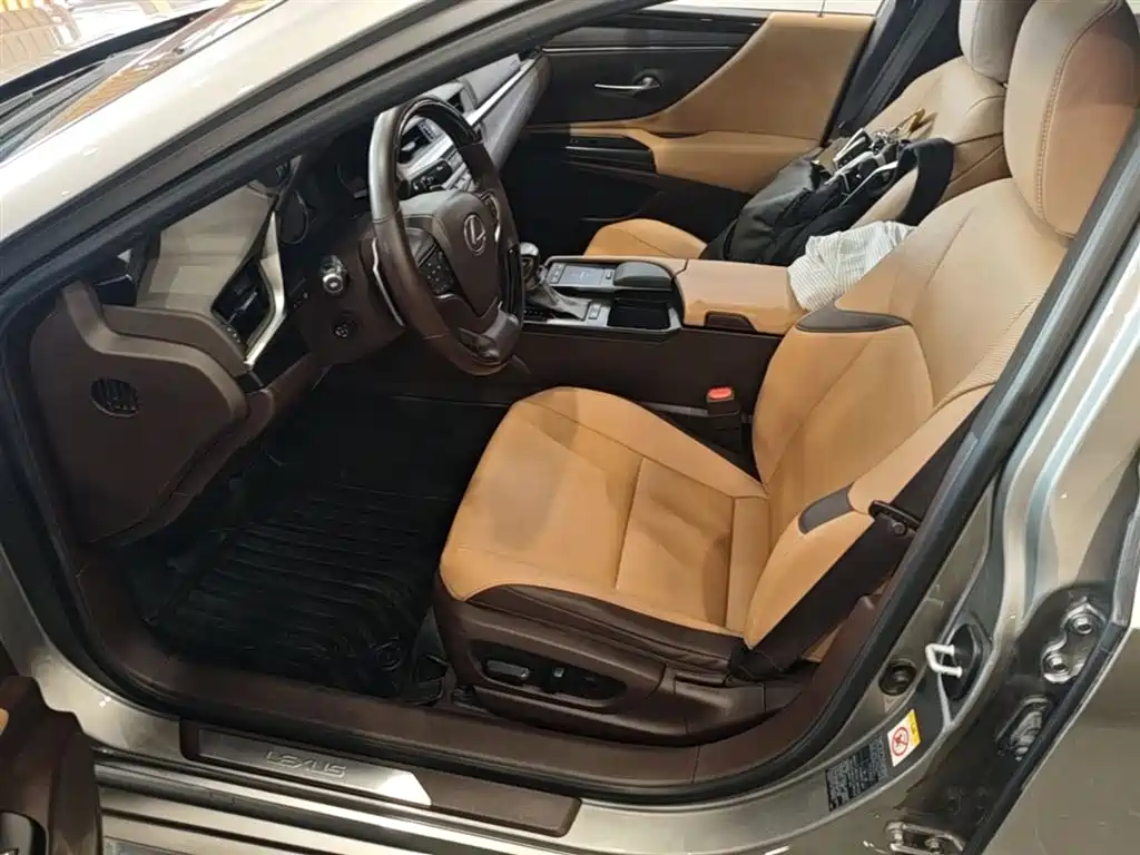 Lexus ES 2018 200 Luxury Edition China V фото 22