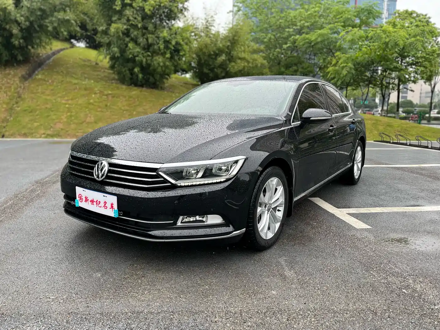 Volkswagen Magotan 2019 330TSI DSG Luxury Class China VI