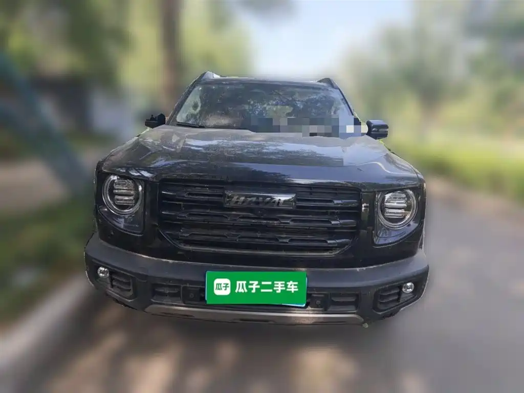 Haval Big Dog 2022 1.5T DCT FWD Border Collie Edition фото 3