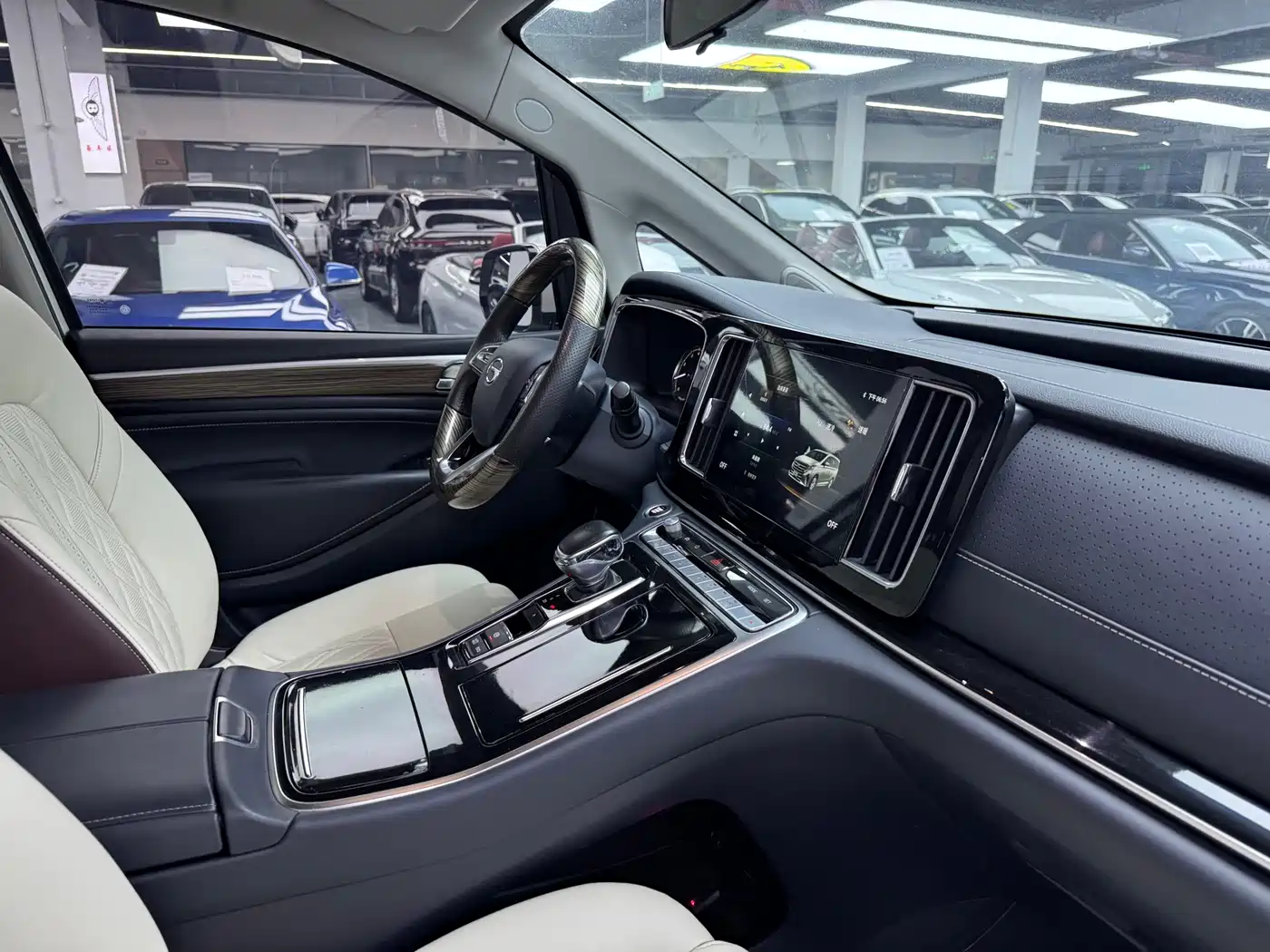 GAC Trumpchi Trumpchi M8 2021 Leading Show Series 390T Premium Edition фото 22