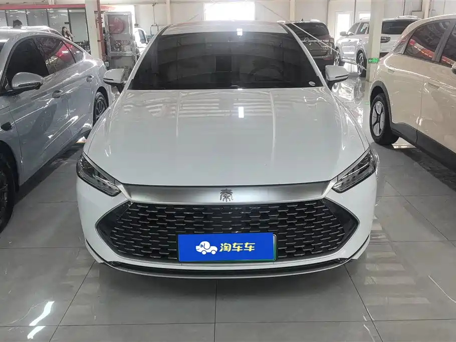 BYD Qin PLUS 2024 Glory Edition DM-i 55KM Leading фото 2
