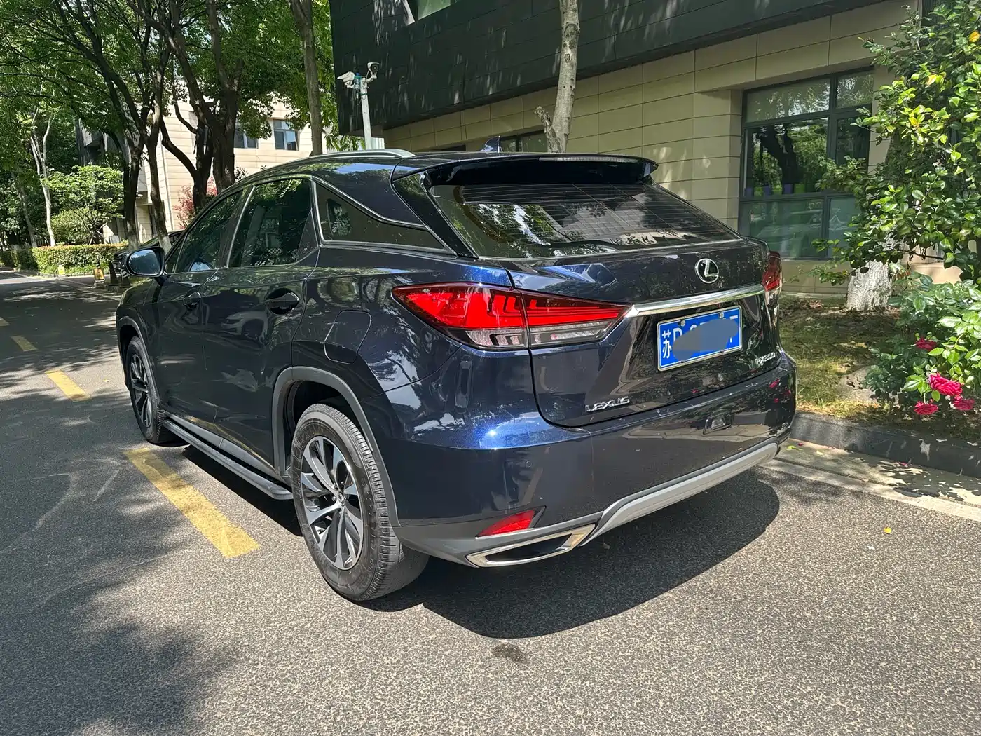 Lexus RX 2020 Facelift 300 2WD Elite Edition фото 4