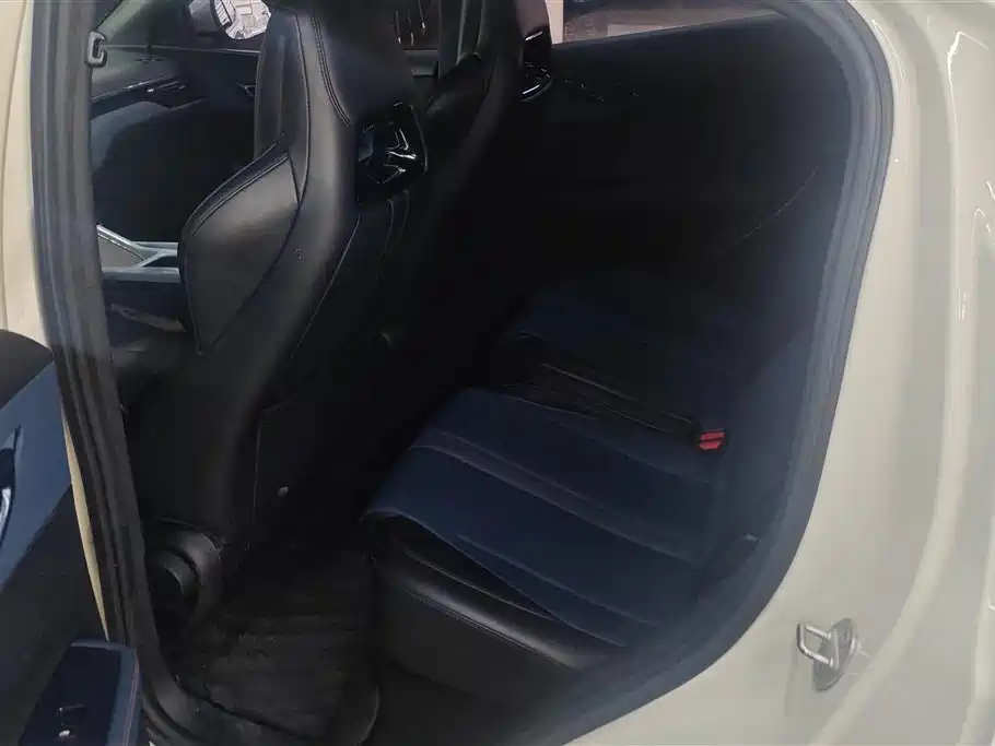 BYD Seagull 2024 Glory Edition 305km Vitality Edition фото 11