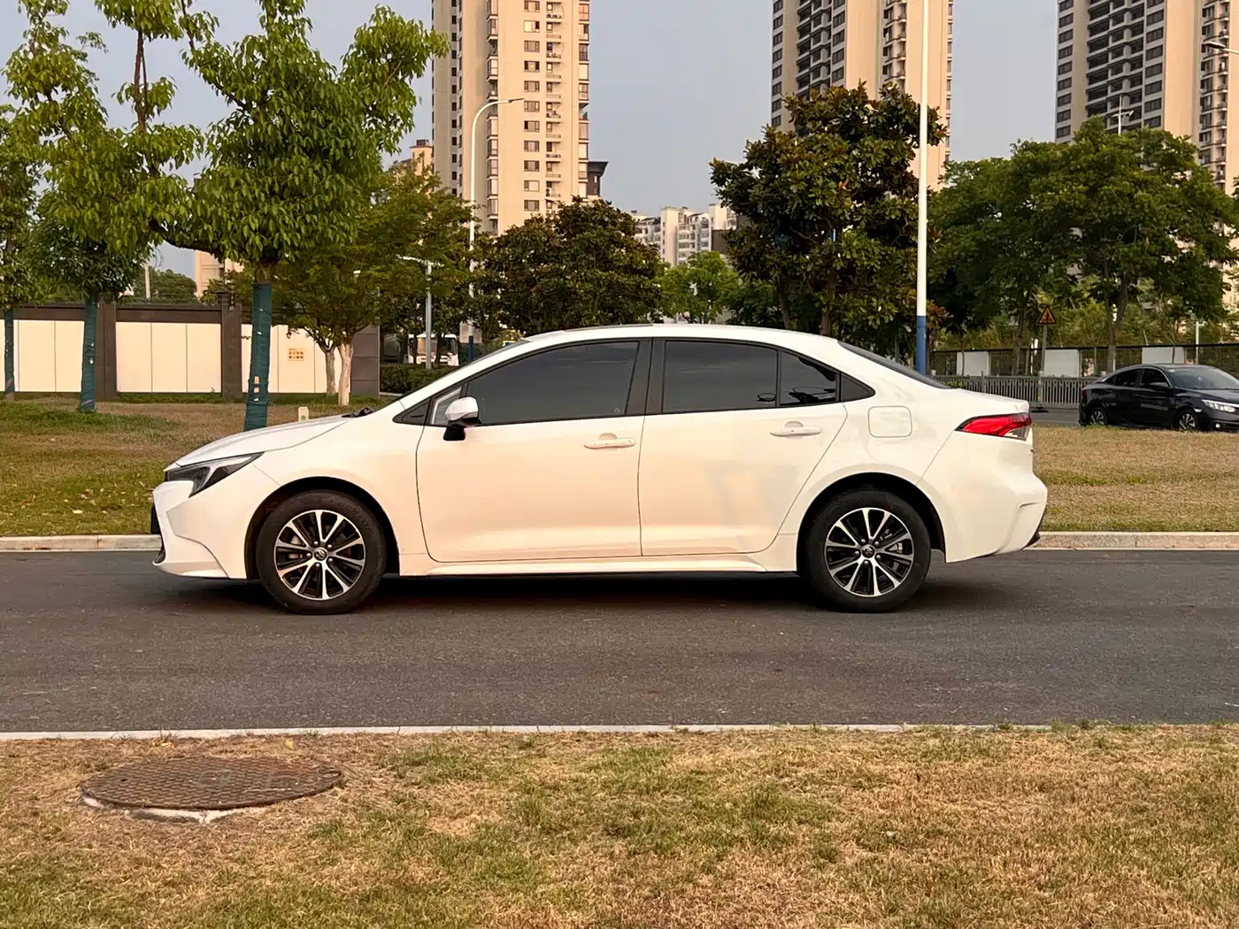 Фото 4 - Toyota Levin
