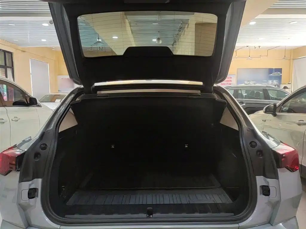 BMW X2 (Import) 2024 sDrive25i M Sport Package фото 19