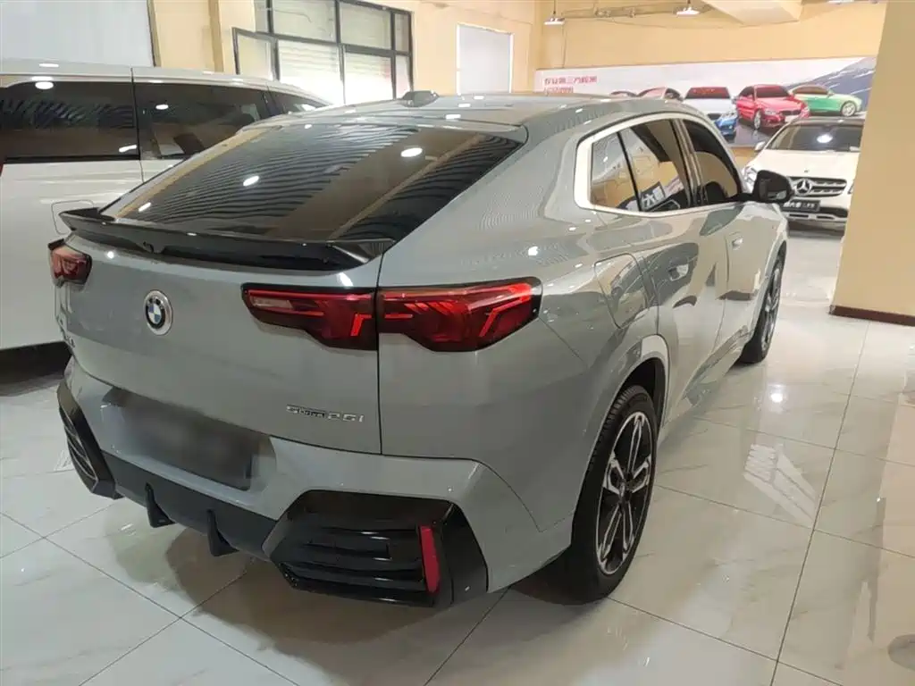 BMW X2 (Import) 2024 sDrive25i M Sport Package фото 7