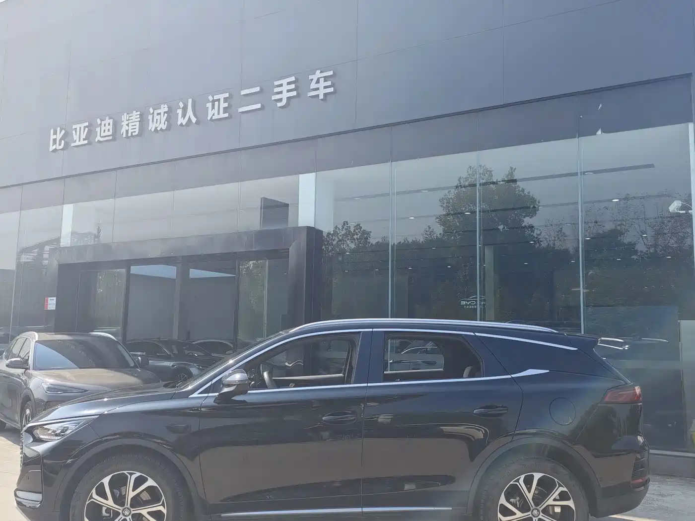 BYD Tang New Energy 2025 2025 Smart Driving Edition DM-i 115KM Flagship