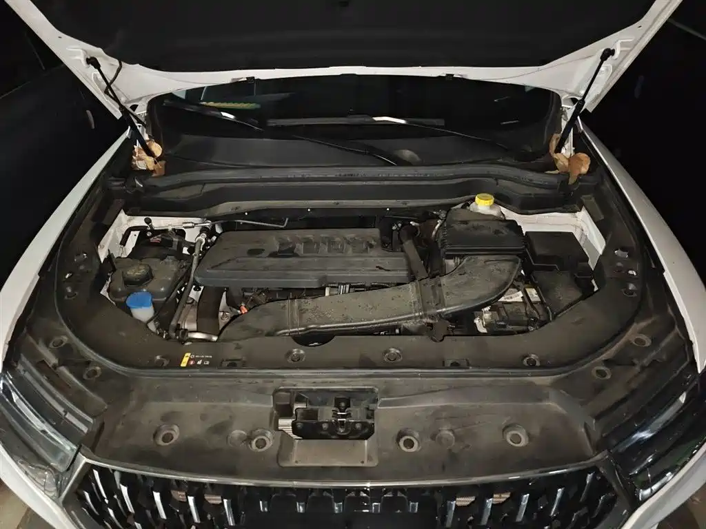 Haval H6 2023 National Trend Edition 1.5T Automatic Champion фото 18