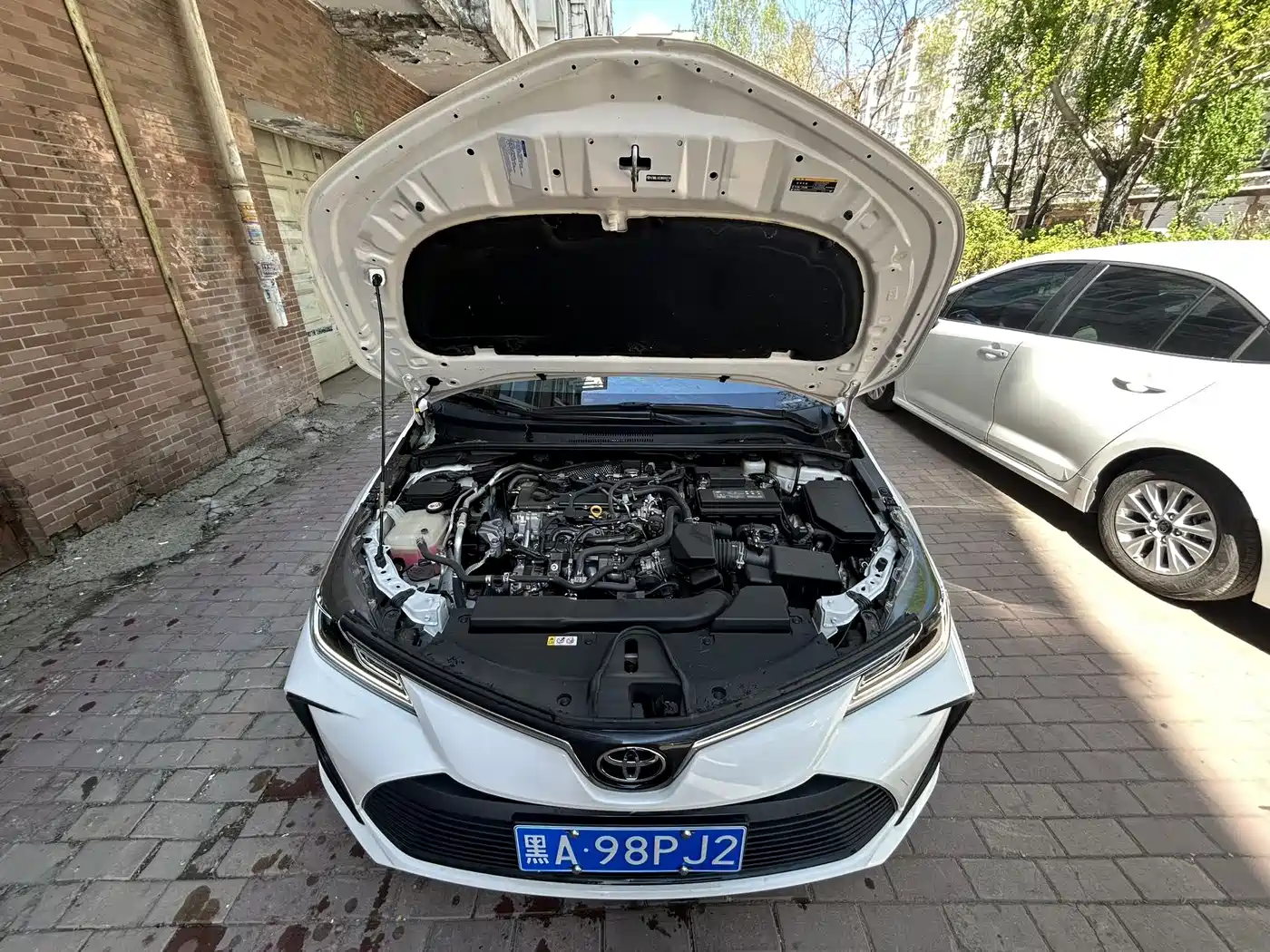 Toyota Corolla 2022 TNGA 1.5L CVT Pioneer Edition фото 6