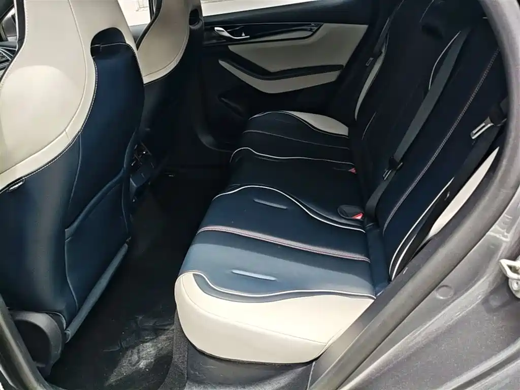 BYD Qin PLUS 2021 DM-i 55KM Flagship фото 17