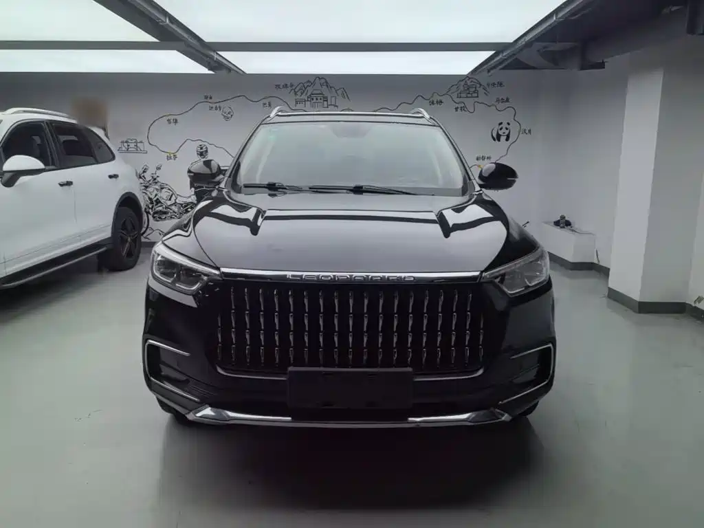 Leopaard Mattu 2019 2018 1.6T GDI DCT Premium Edition