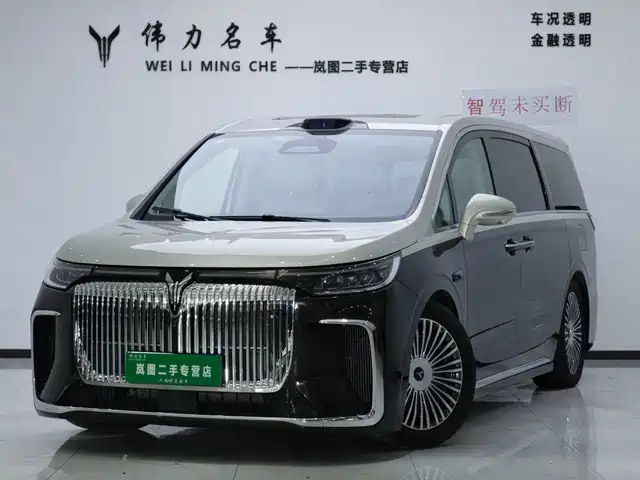 Voyah Auto Voyah Dreamer 2024