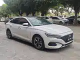 Photo 2 - Hyundai Lafesta