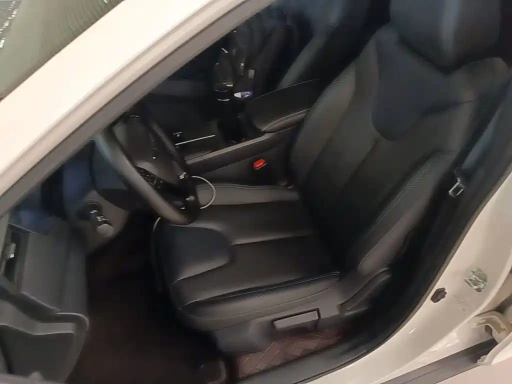 Venucia D60EV 2024 2023 PLUS Smart Drive SI Edition
