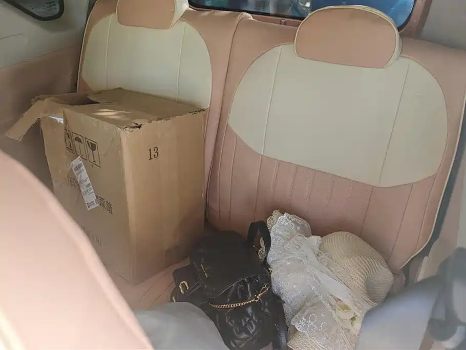 Geely Galaxy Panda 2023 Panda Mini 200km Endurance Bear фото 11