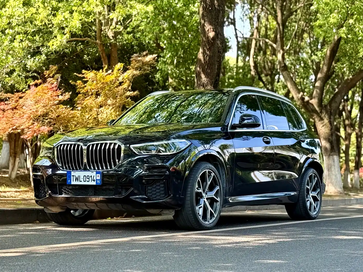 BMW X5 2022 Facelift xDrive 40Li M Sport Package