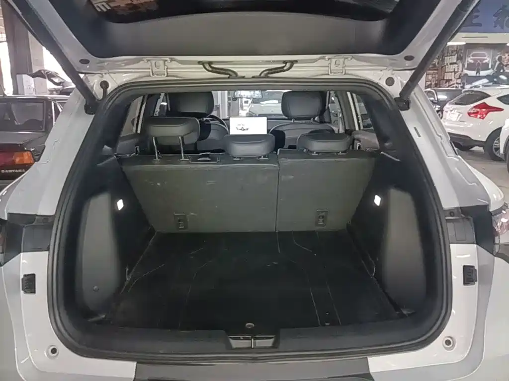 Wuling Motors Wuling Xingguang S 2024 2024 510km Flagship Model