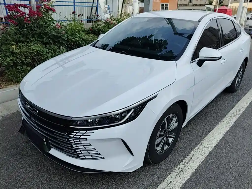 BYD Destroyer 05 2024 Glory Edition DM-i 55KM Luxury