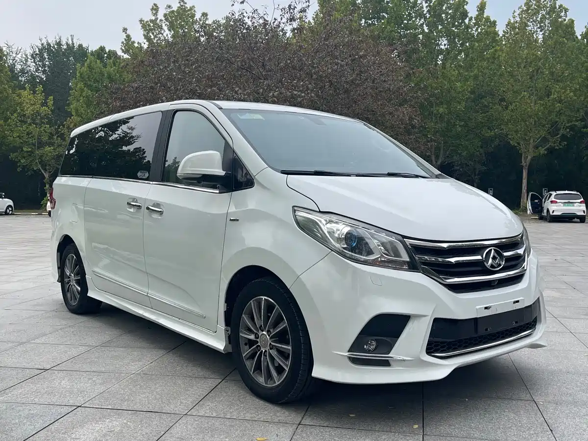 SAIC Maxus Maxus G10 2018 PLUS 2.0T Automatic Luxury Executive Edition фото 8