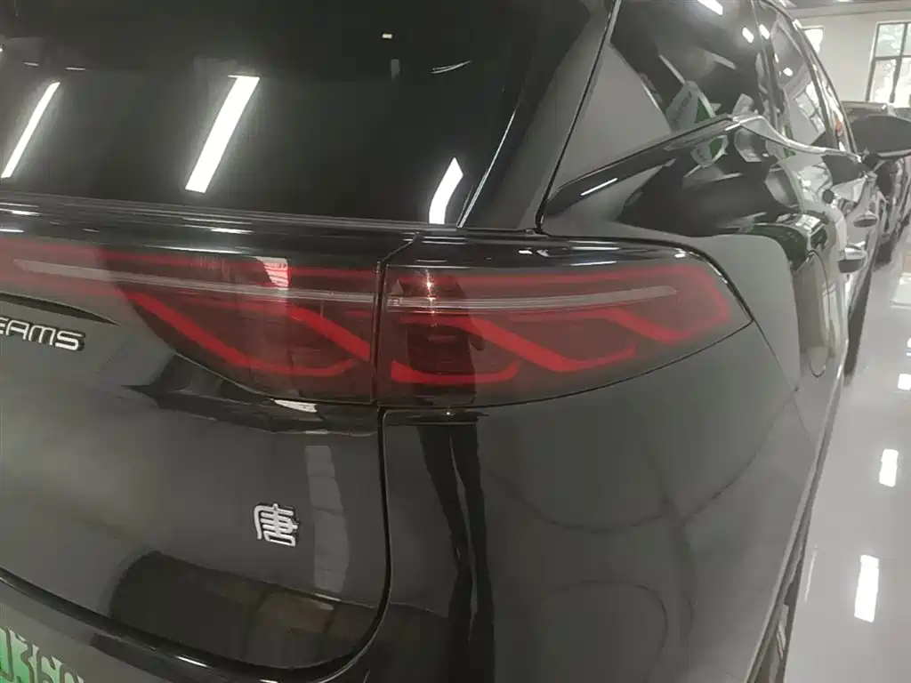 BYD Tang New Energy 2024 EV Glory Edition 600KM Premium фото 8