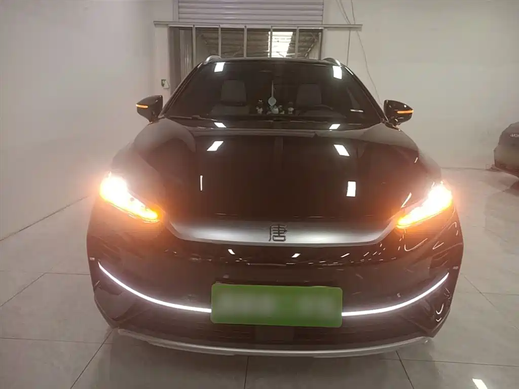 BYD Tang New Energy 2024 EV Glory Edition 600KM Premium фото 3