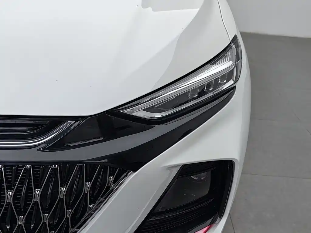 Changan Oshan X7 PLUS 2022 2022 1.5T Blue Whale Edition Auto Premium