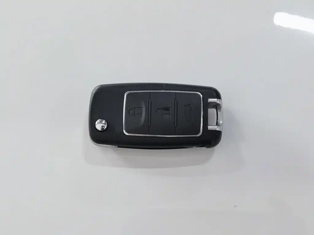 Photo 19 - Dongfeng Fengxing Lingzhi