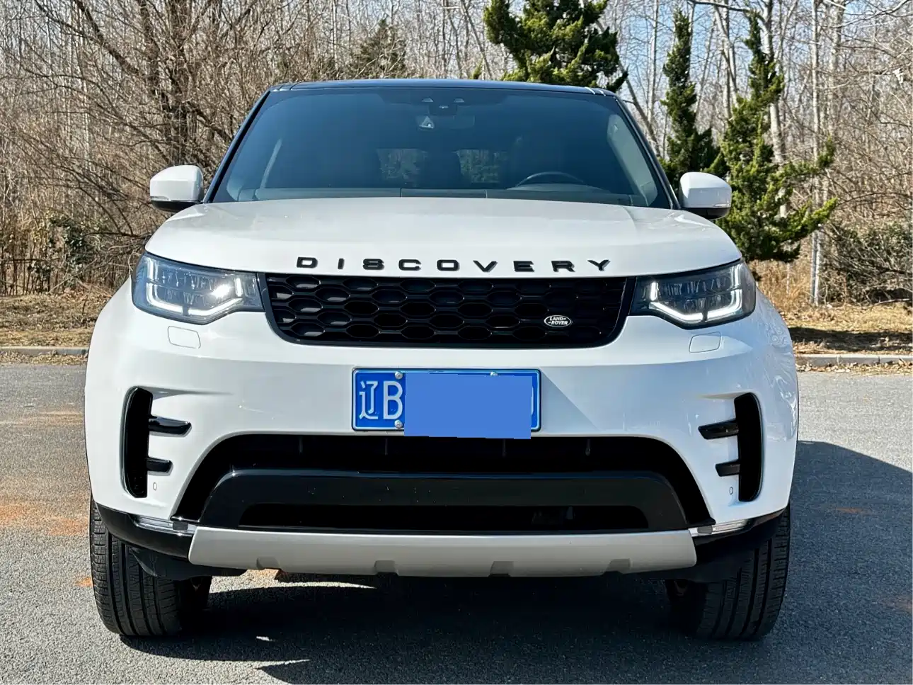 Land Rover Discovery 2017 3.0 SC V6 HSE фото 2