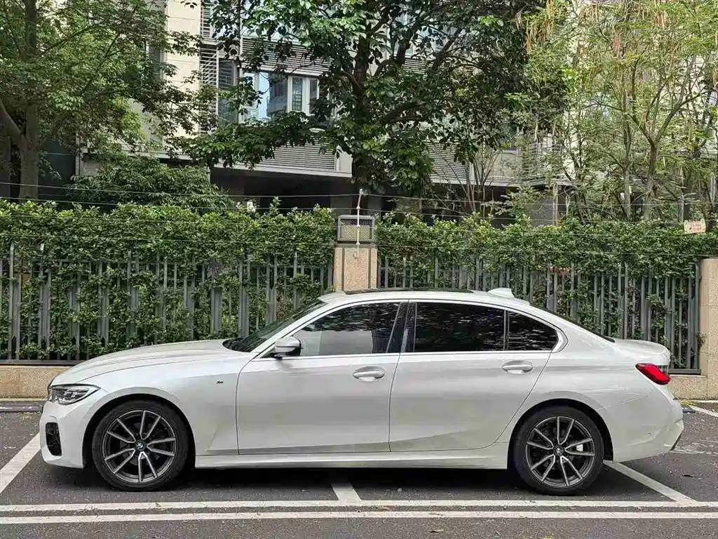 BMW 3 Series 2020 320Li M Sport Package фото 2