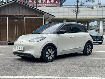 Wuling Bingo