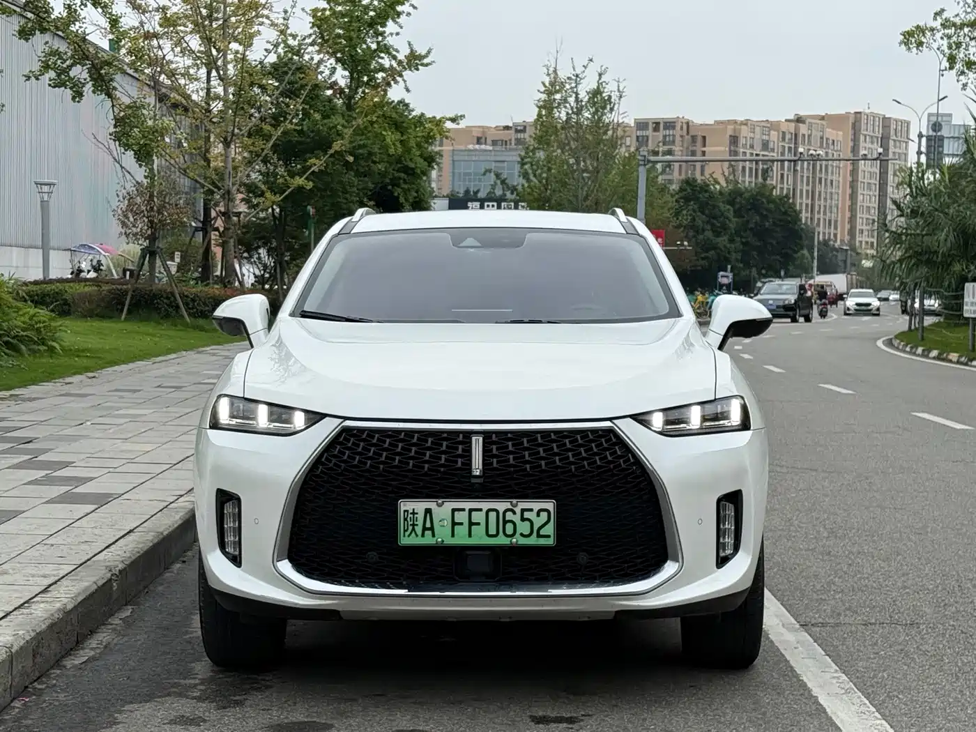 WEY P8 2019 2018 2.0T Exclusive