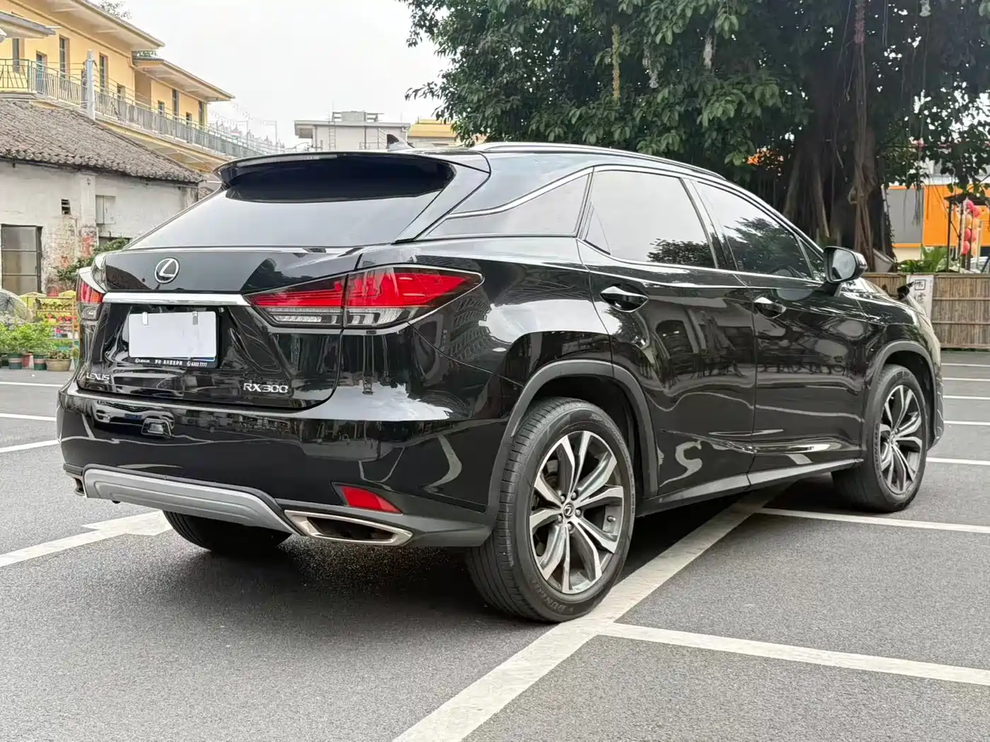 Lexus RX 2020 300 4WD Elegance Edition China VI фото 14