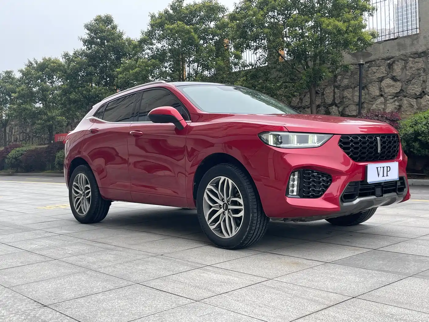 WEI PAI WEI BRAND VV5