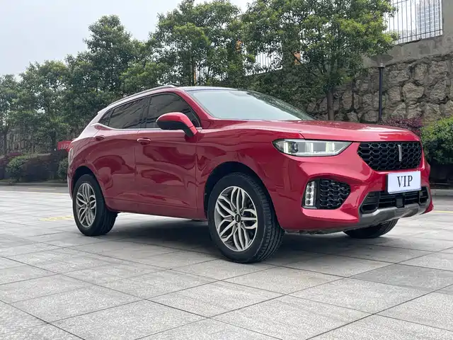 wei-pai wei-brand-vv5