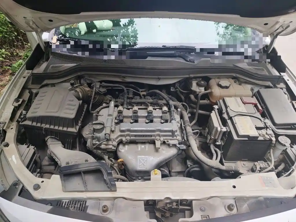 Chevrolet Cavalier 2017 2016 1.5L Automatic Delight Edition