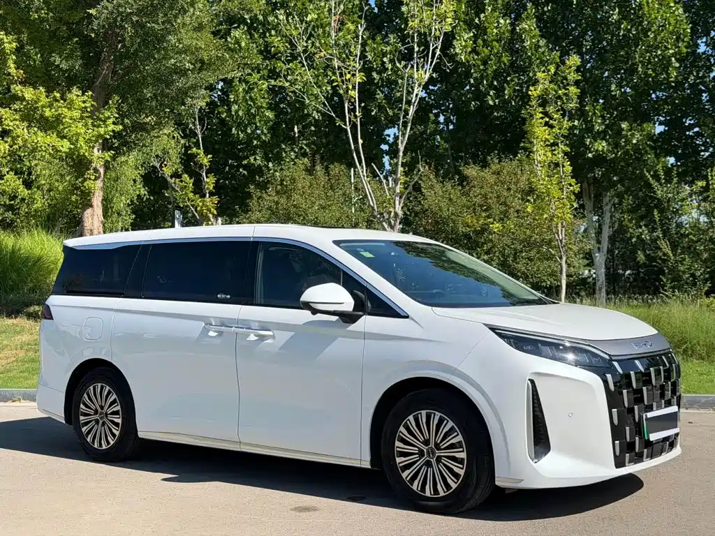 2026 BYD M9