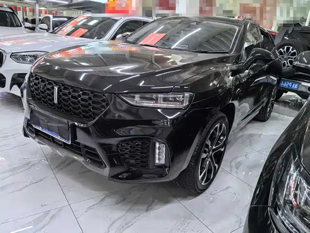 WEI PAI WEI BRAND VV7